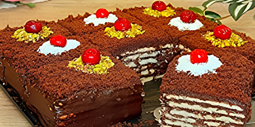 Gâteau biscuit au chocolat : délicieuse !