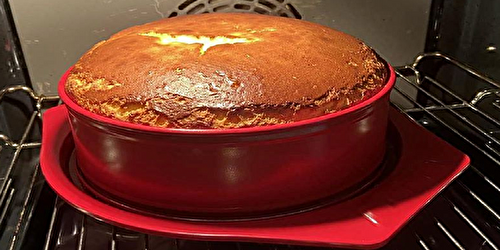 Délicieux gâteau au fromage : Recette facile !