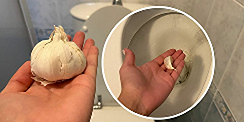 Astuce Gousse d’ail : jetez-la dans les toilettes avant d’aller au lit !