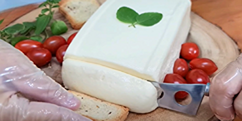 Fromage caillé maison facile