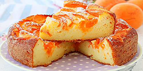 Gâteau à la ricotta et à l’abricot sans farine : Un délice moelleux !