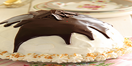 Gâteau Igloo chocolat et crème mascarpone : Fusion de Saveurs