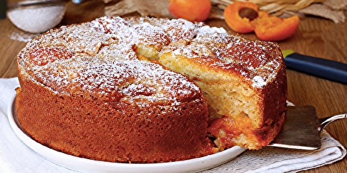 Gâteau moelleux aux abricots sans beurre : légèreté !