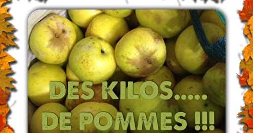 Pommes Pommes Pommes