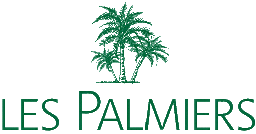Biscoitos Palmier / Bicuits Palmier
