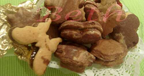 Biscuits Multi saveurs  /  Biscoitos aos Multi Savores