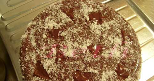 Bolo de Chocolate e Iogurte  / Gateaux au Chocolat et Yourte