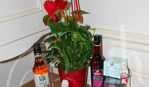 Cadeaux Offerts à la St. Valentin / Prendas Oferecidas no Dia dos Namorados