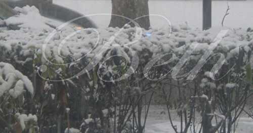 Premiers Flocons de Neige Sur Paris à 08h30  /  Primeiros Flocos de Neve em Paris às 08h30