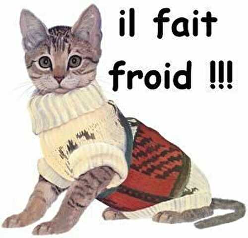 Bon jeudi un peu froid