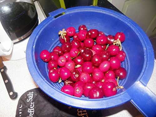 Clafoutis aux cerises