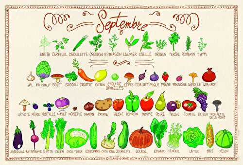 La ronde des fruits et légumes de septembre