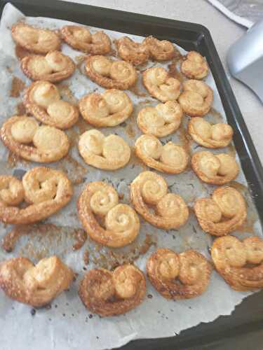 Palmiers maison