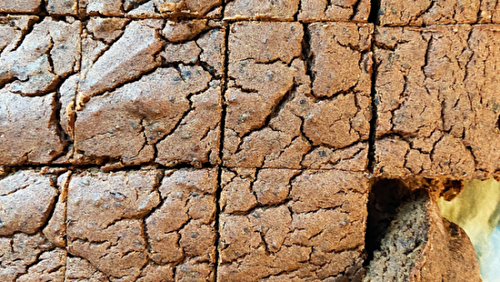 Brownies aux haricots noirs et dattes