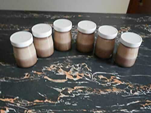 YAOURTS AU CHOCOLAT