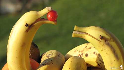 Comment faire un dauphin banane - YopYop.ch La cuisine amusante