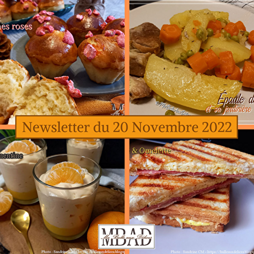 Newsletter du 20 novembre 2022