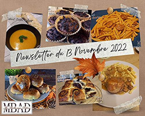 Newsletter du 13.11.2022