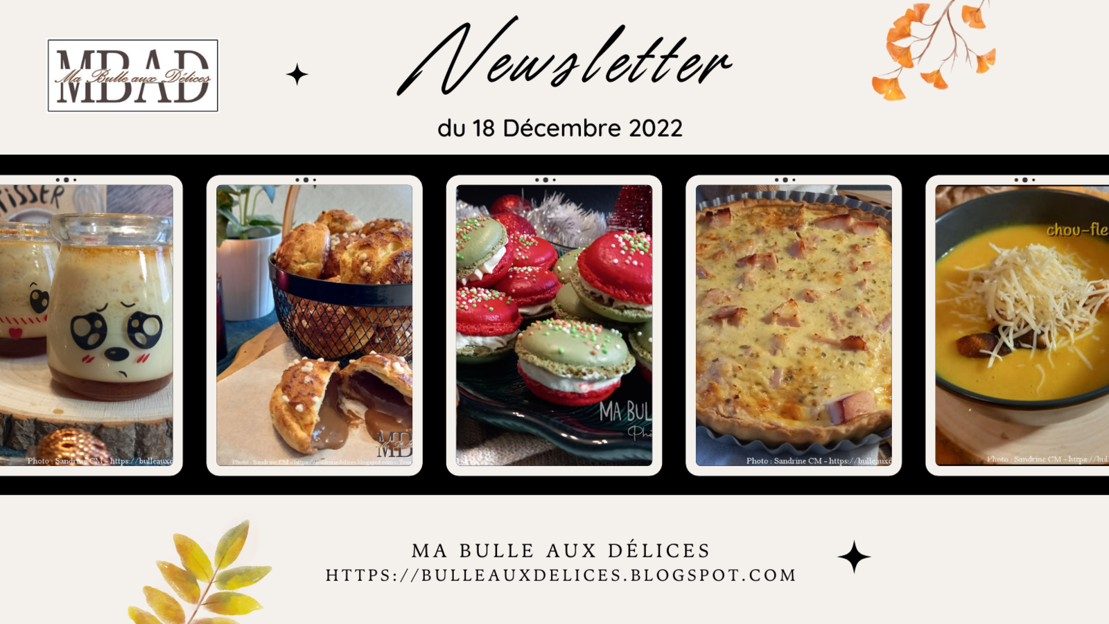 Newsletter du 18 Décembre 2022