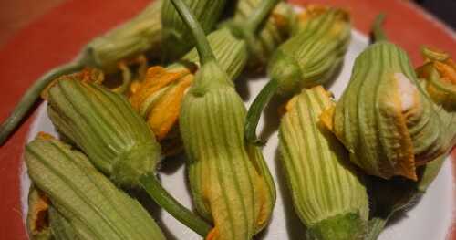 Fleurs de courgette farcies