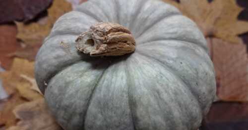 Soupe de citrouille (Cendrillon s'abstenir) 