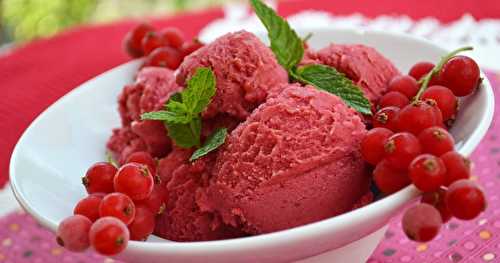 Sorbet aux groseilles rouges {recette facile avec ou sans sorbetière}