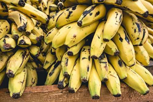 Que faire des bananes trop mûres ?