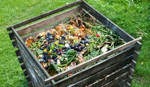 Réduire les déchets alimentaires