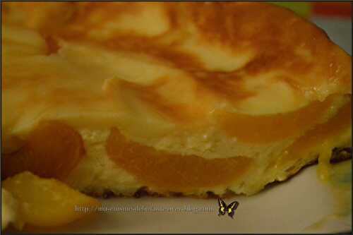 Flan aux abricots