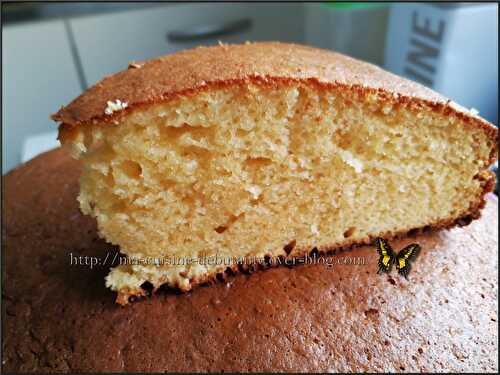 Gâteau au lait concentré sucré