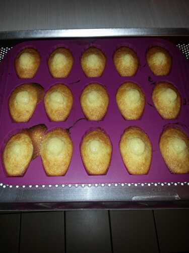 Madeleines