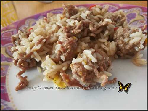 Mélange de riz et sa viande hachée aux épices italien