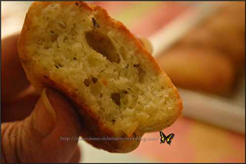 Petits fours au parmesan et herbes de Provence