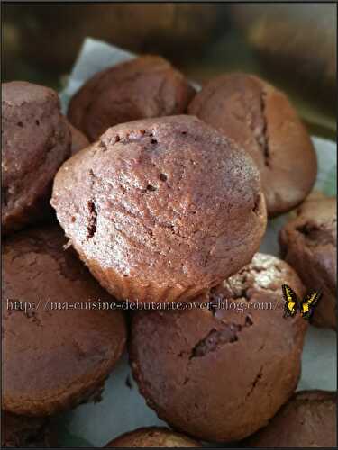 Petits gâteaux au chocolat