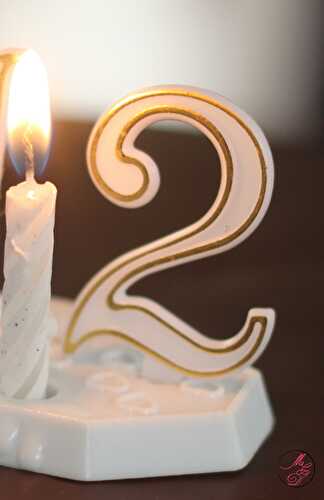 Happy BlogDay #2 ans