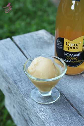 Sorbet pomme & miel (réalisé avec jus de pommes)