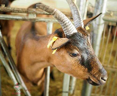 Les Jovents, une ferme à gourmandises