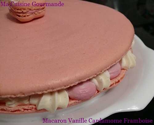 Macaron Géant Vanille Cardamome et Framboise