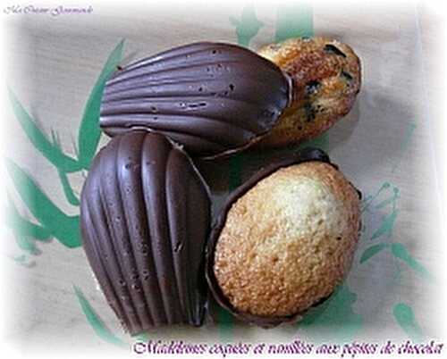 Madeleines Coquées et Vanillées aux pépites de chocolat