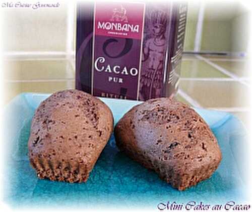 Mini Cakes au Cacao Pur Monbana