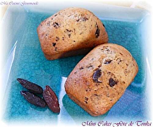 Mini Cakes Fèves de Tonka Pépites de Chocolat