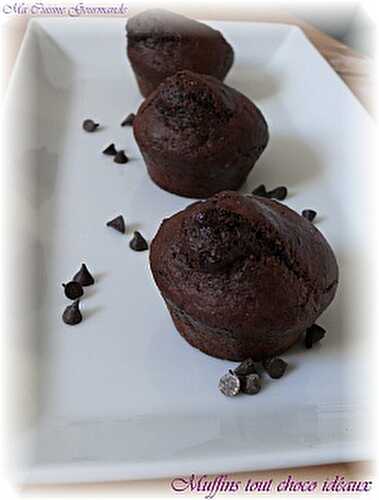 Muffins tout choco idéaux