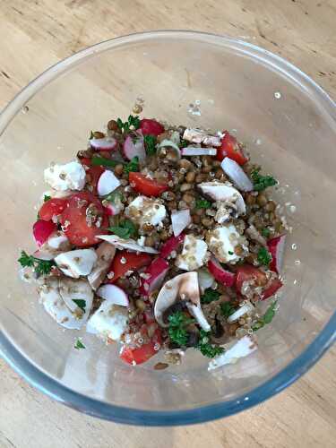 Salade de lentilles quinoa et feta