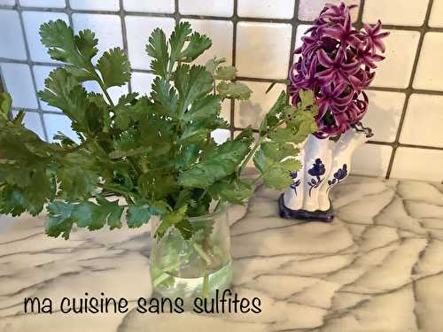 Astuces: comment conserver légumes frais et aromates le plus longtemps possible