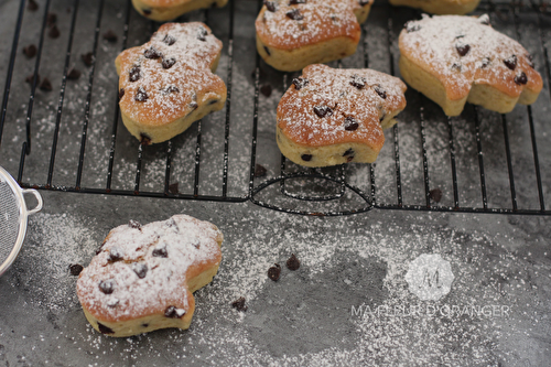 Petits gâteaux aux pépites de chocolat