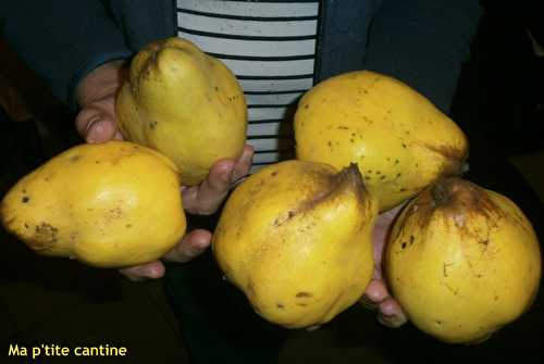 Confit de coings épicé