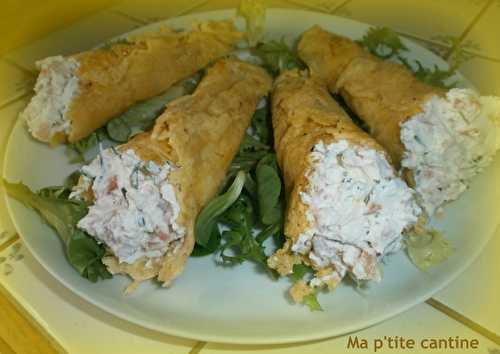 Cornets de parmesan au saumon fumé