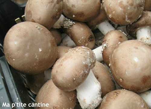 Macaronis chèvre, jambon, champignons