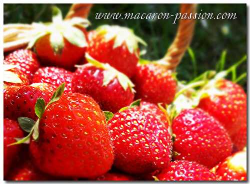 Confiture fraise pomme | Macaron, recettes, formation, cours