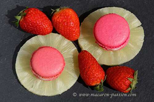 Macaron fraise ananas chocolat blanc